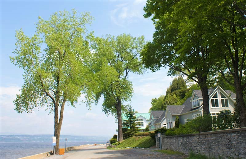 Coast road on the Ile d'Orleans in Quebec Canada Mind, Body, Spirit