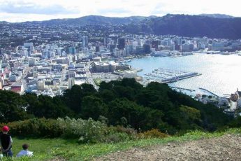 Wellington from the top of Mount Victoria - image PhiloVivero